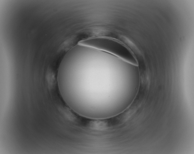 X0000114590327200910191602