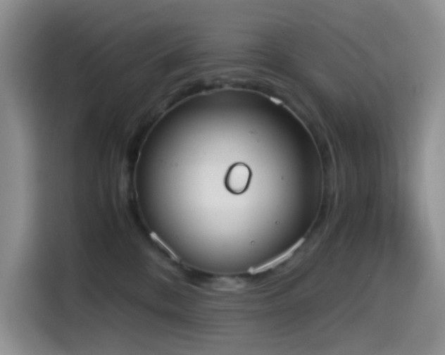 X0000114590328200910191602