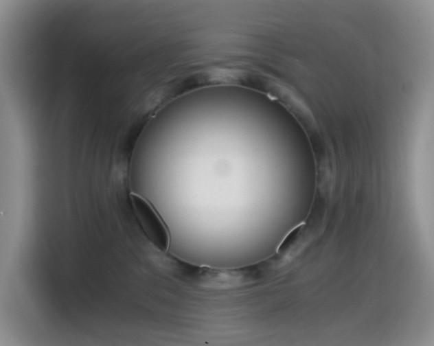 X0000114590329200910191602