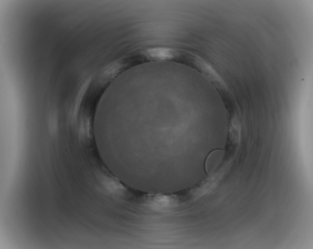 X0000114590330200910191602
