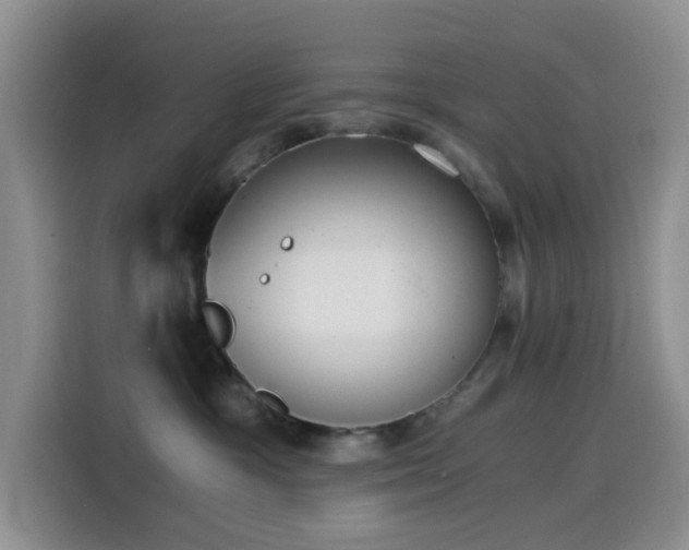 X0000114590333200910191602