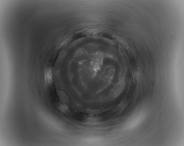 X0000114590335200910191602