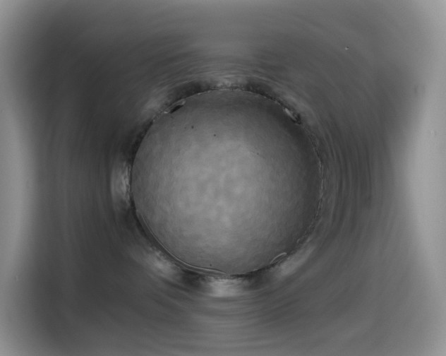 X0000114590336200910191602