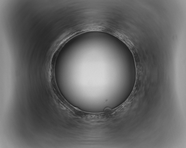 X0000114590338200910191601