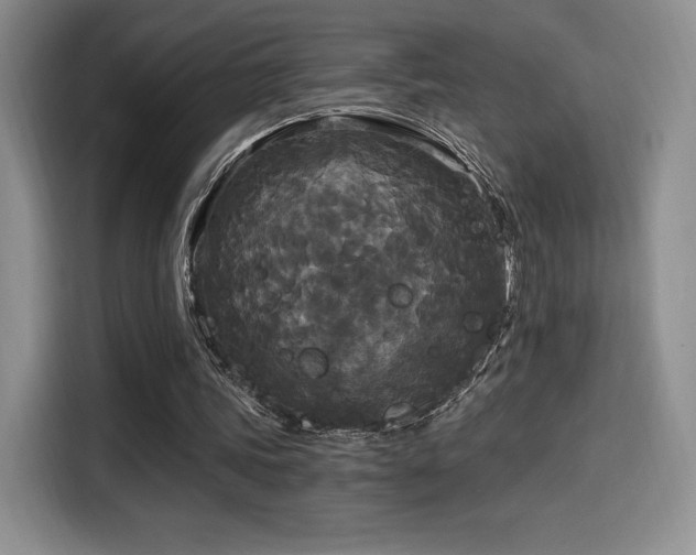 X0000114590339200910191601