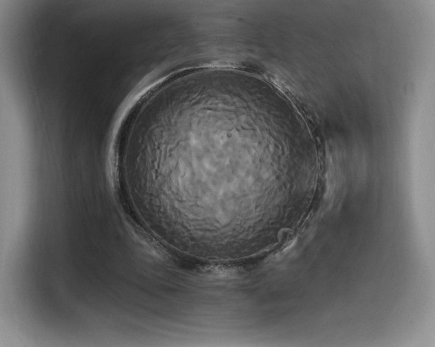 X0000114590343200910191601
