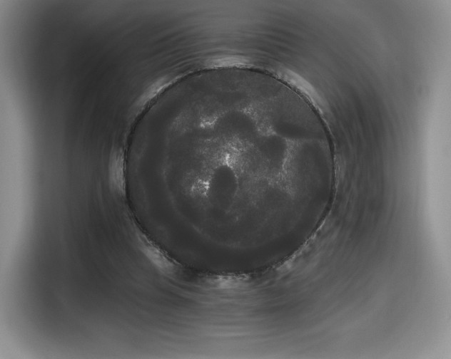 X0000114590345200910191601