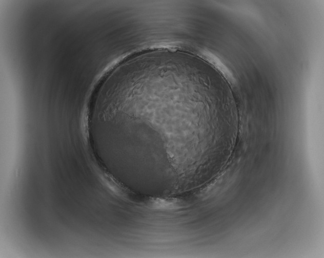X0000114590346200910191601