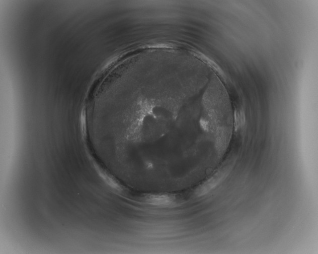 X0000114590349200910191602