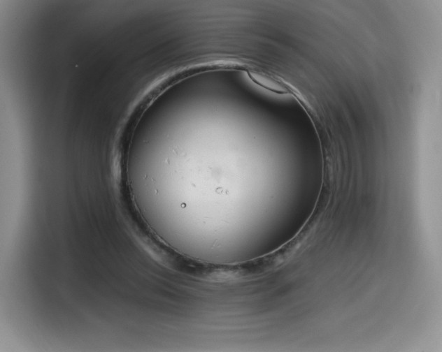 X0000114590350200910191602
