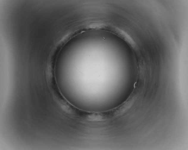 X0000114590354200910191602