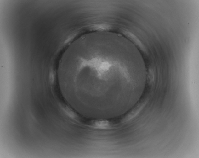 X0000114590355200910191602