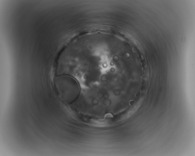 X0000114590359200910191602
