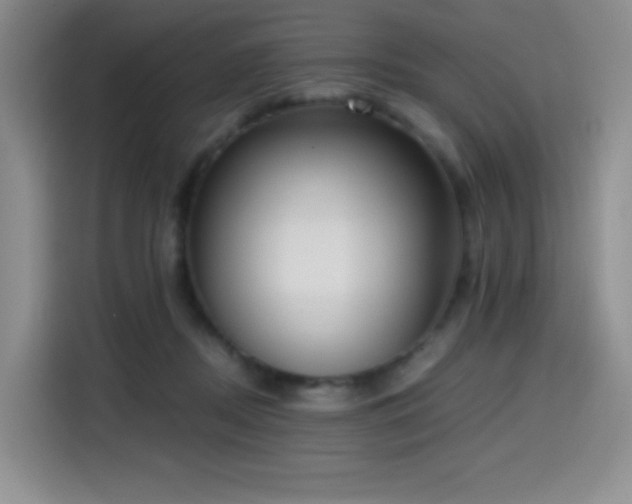 X0000114590362200910191602