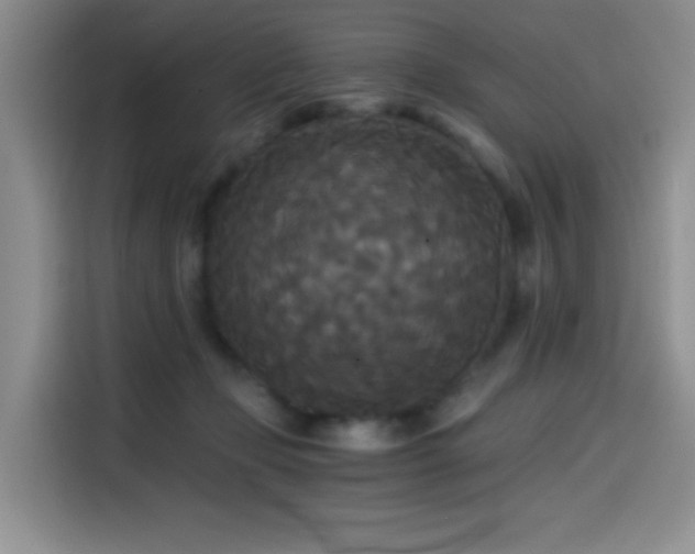 X0000114590365200910191602