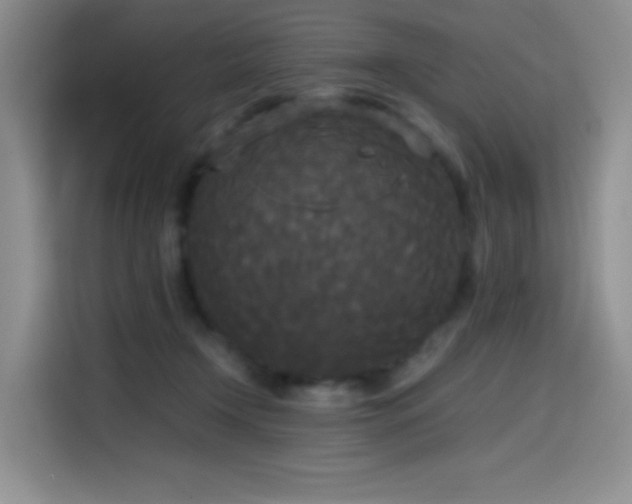 X0000114590366200910191602