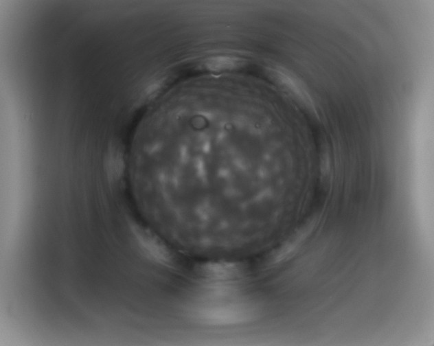 X0000114590367200910191602
