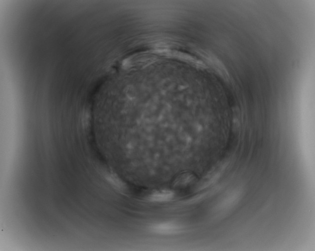 X0000114590369200910191602