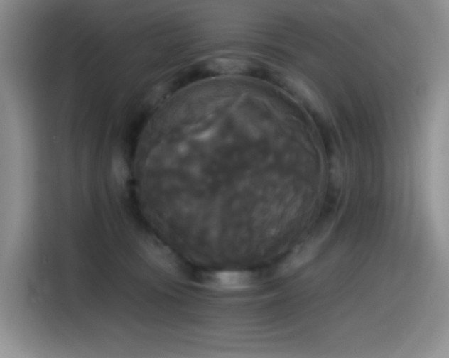 X0000114590371200910191602