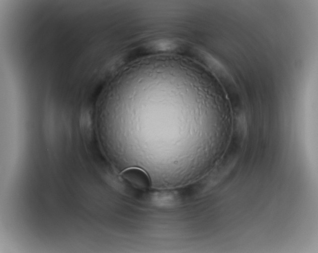 X0000114590373200910191602
