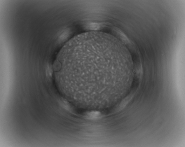 X0000114590374200910191602