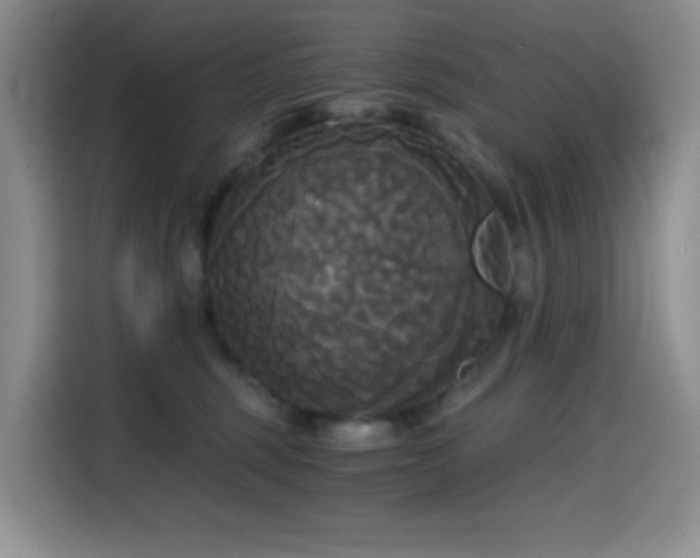 X0000114590375200910191602
