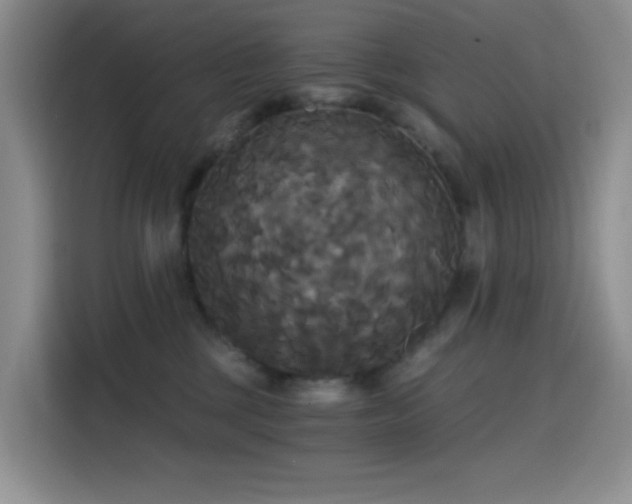 X0000114590377200910191602