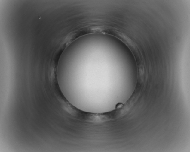 X0000114590379200910191602