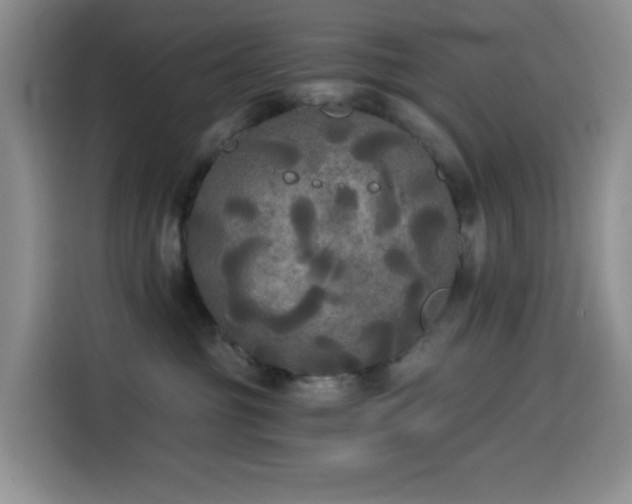 X0000114590381200910191602