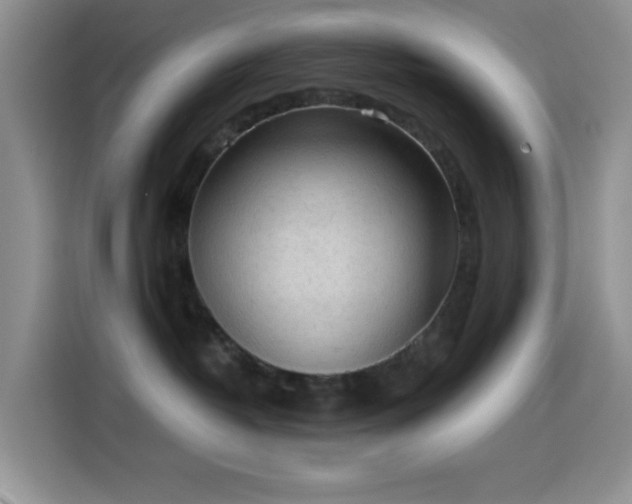 X0000114590382200910191602