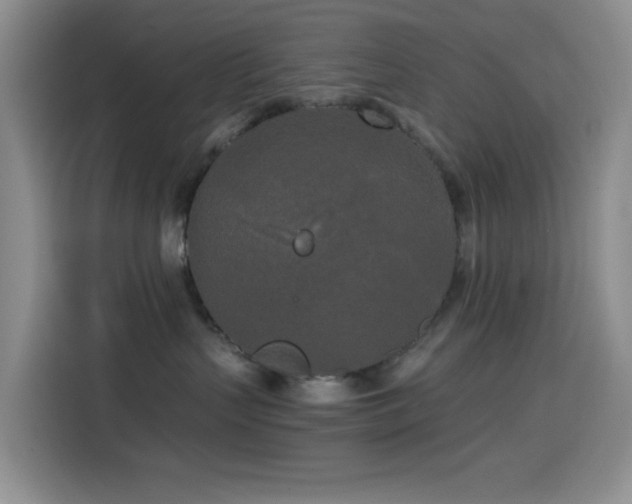 X0000114590383200910191602