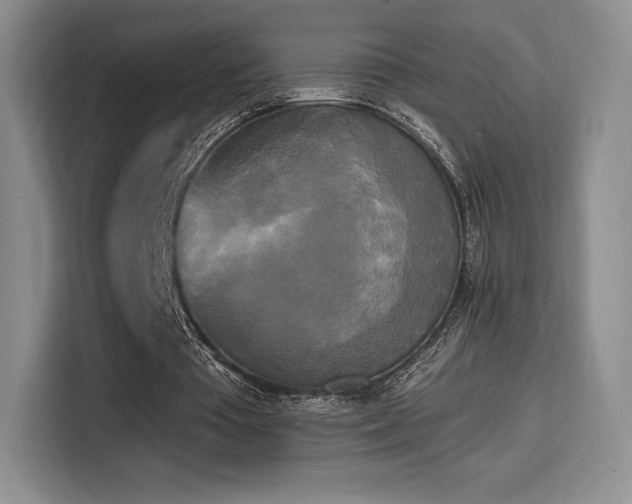 X0000114590385200910191601