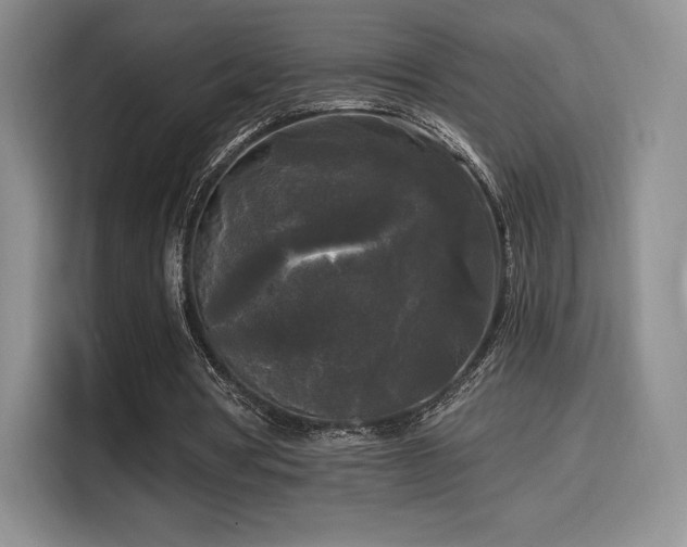 X0000114590386200910191601