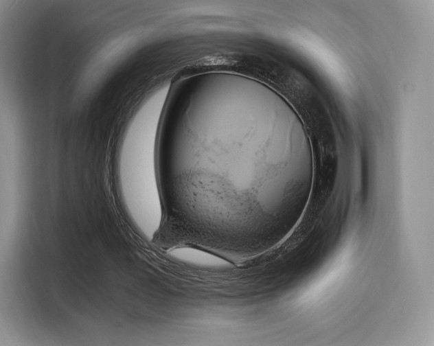 X0000114590387200910191601