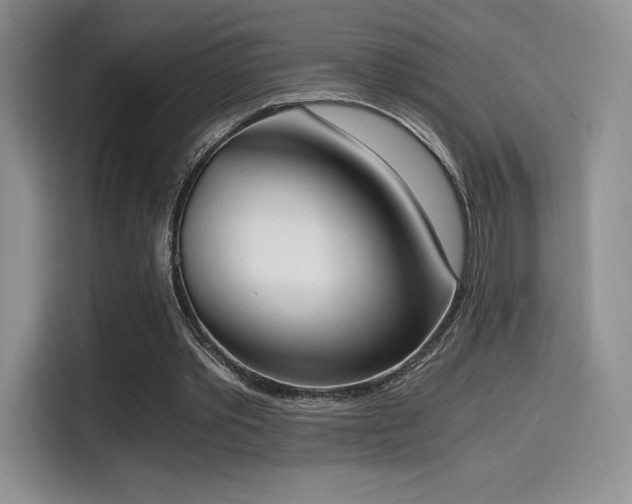 X0000114590389200910191601