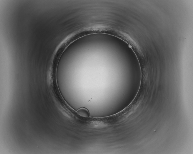 X0000114590392200910191601