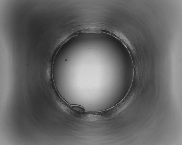 X0000114590393200910191601