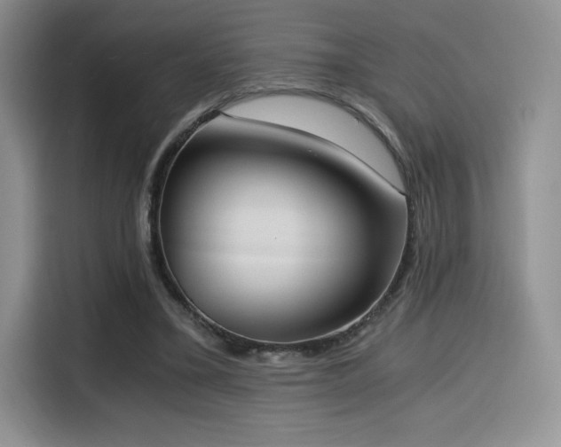 X0000114590395200910191601