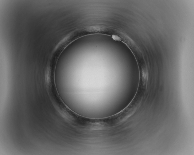 X0000114590396200910191601