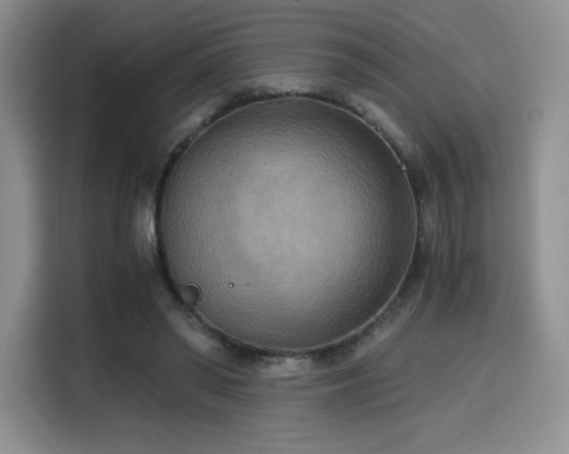 X0000114590398200910191601