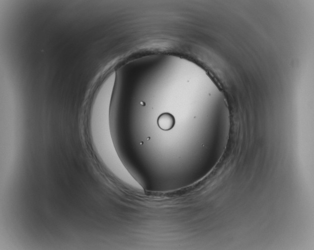 X0000114590399200910191601