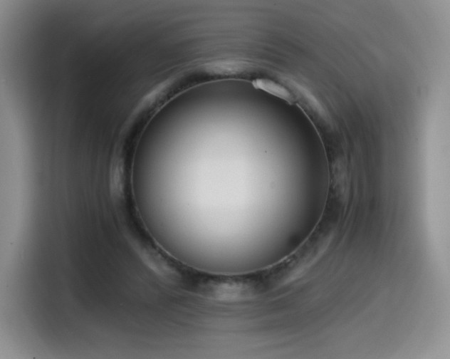 X0000114590400200910191601