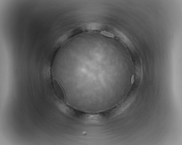 X0000114590401200910191601