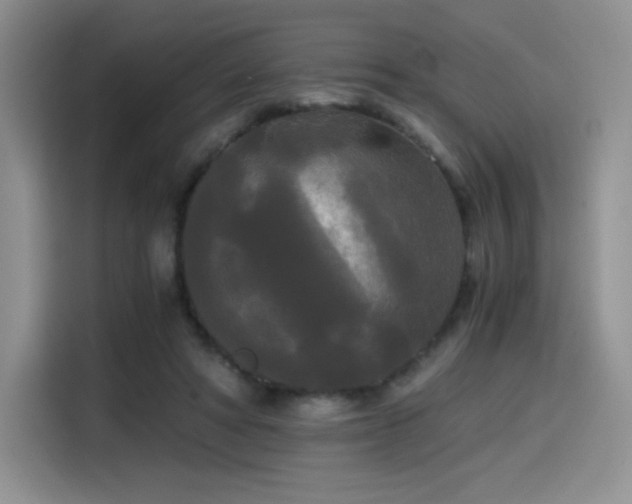 X0000114590402200910191601