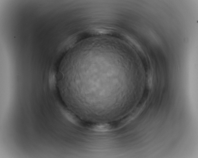 X0000114590410200910191601