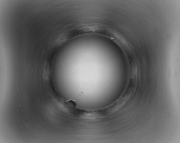 X0000114590414200910191601