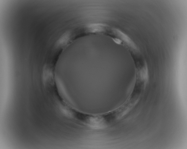 X0000114590415200910191601