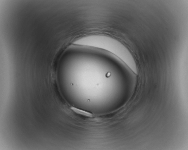 X0000114590419200910191601