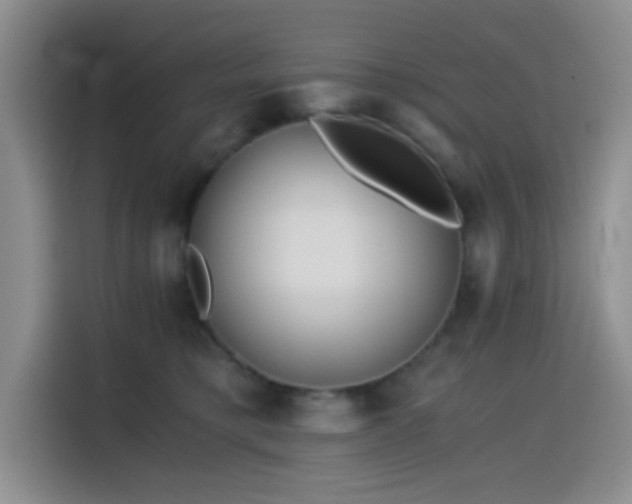 X0000114590421200910191601