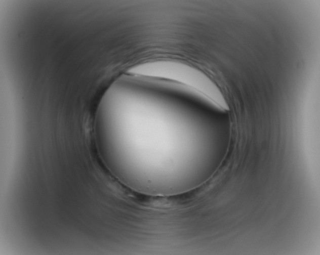 X0000114590423200910191601